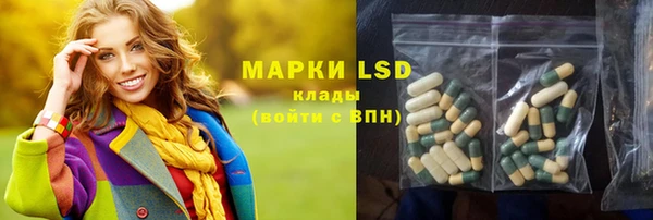 прущие грибы Абдулино