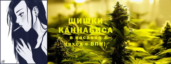 прущие грибы Абдулино